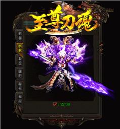 天龙八部私服授权文件